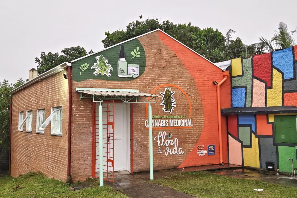 Associação Terapêutica Cannabis Medicinal – Flor da Vida